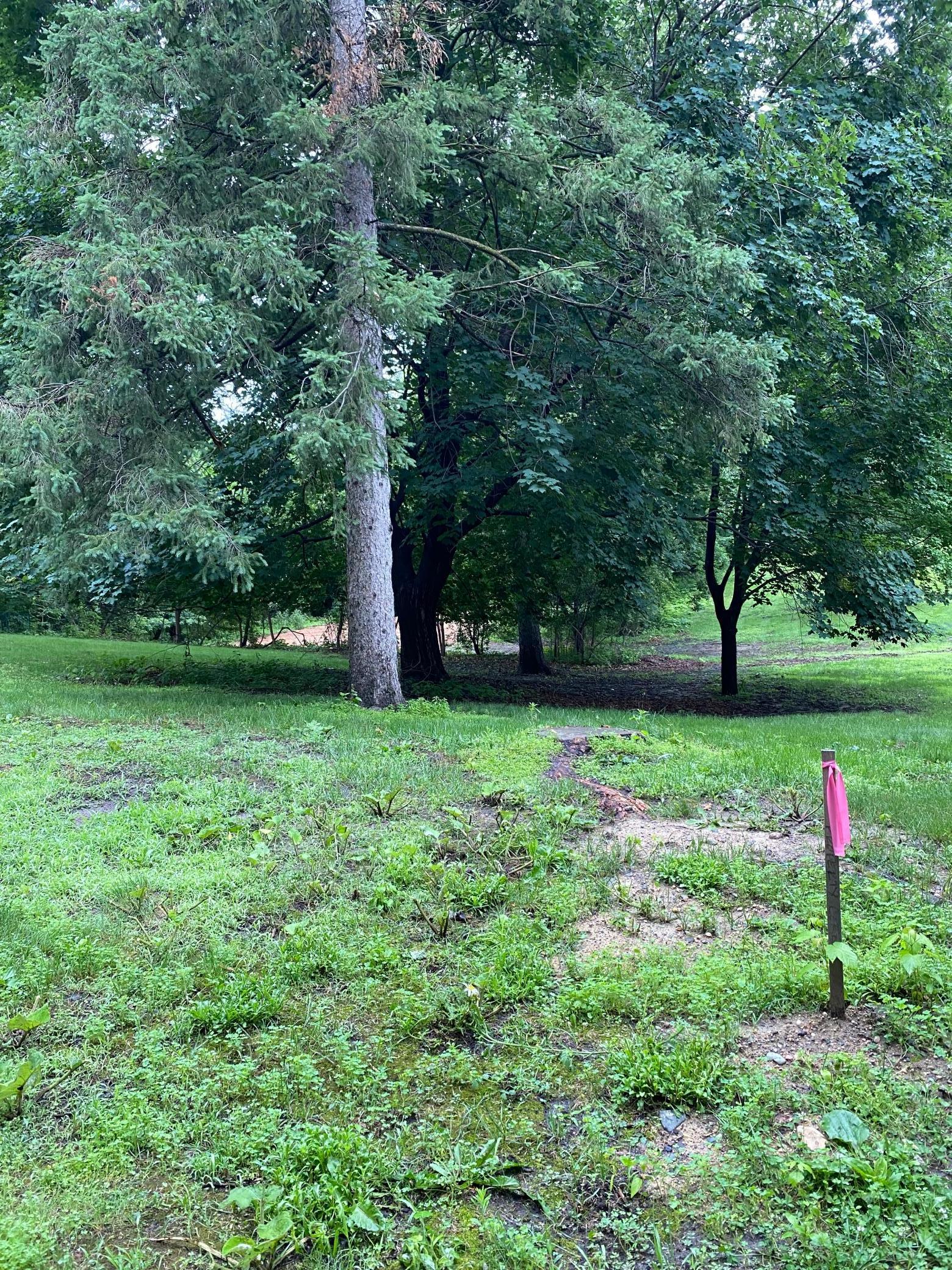 165-xx Hidden Valley Road Minnetonka, MN 55345 - Photo 11 of 11