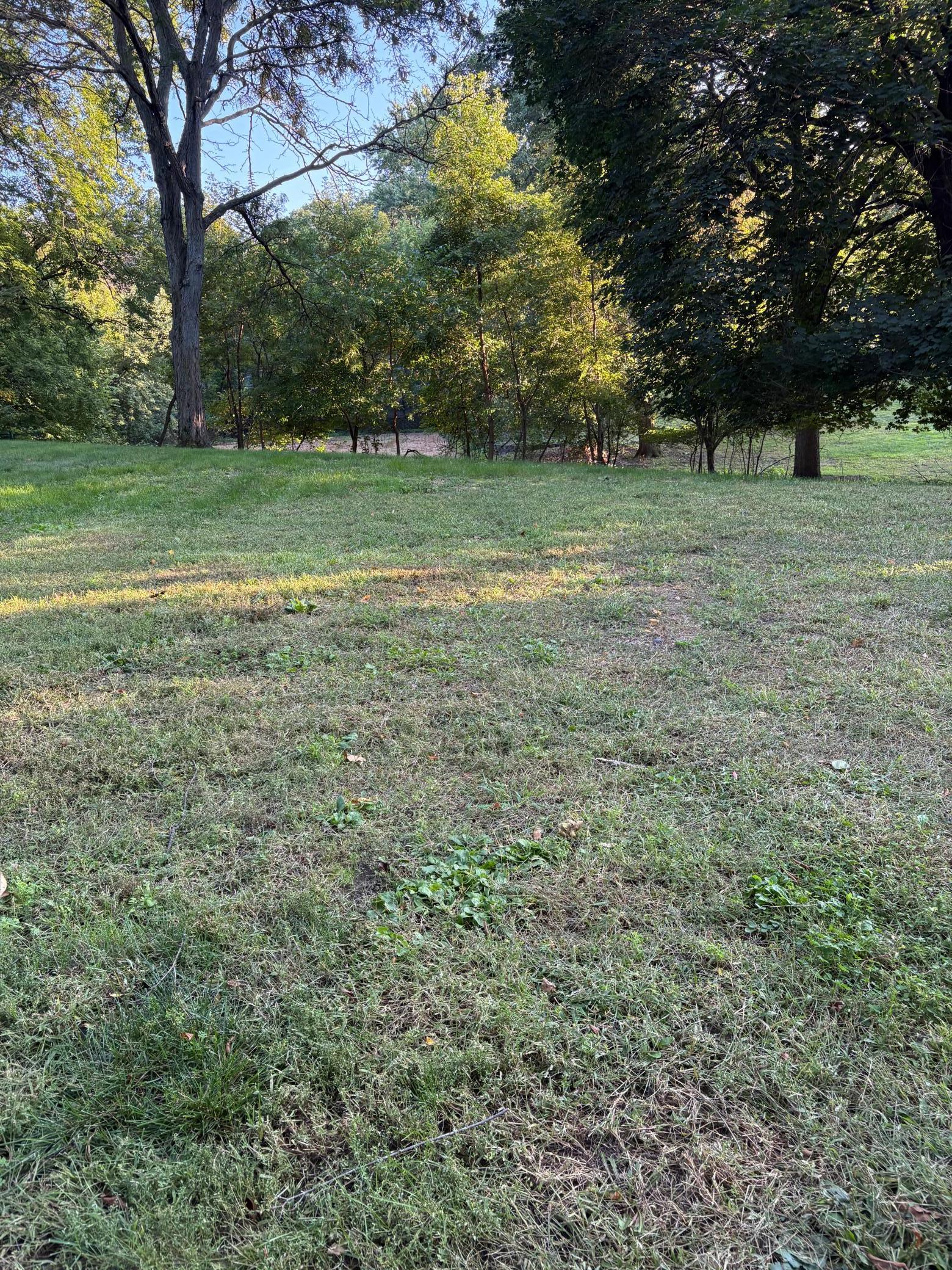 165-xx Hidden Valley Road Minnetonka, MN 55345 - Photo 2 of 11