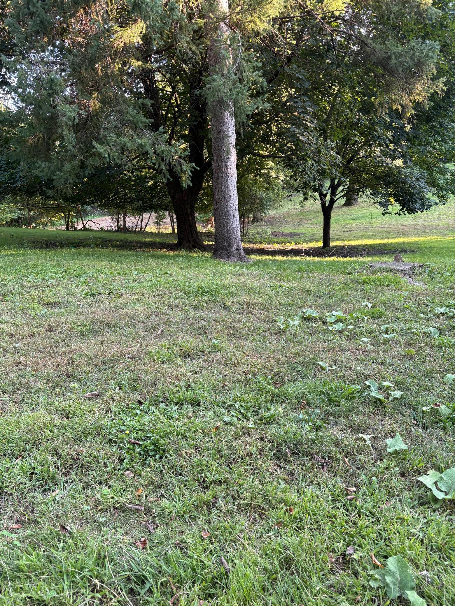 165-xx Hidden Valley Road Minnetonka, MN 55345 - Photo 3 of 11