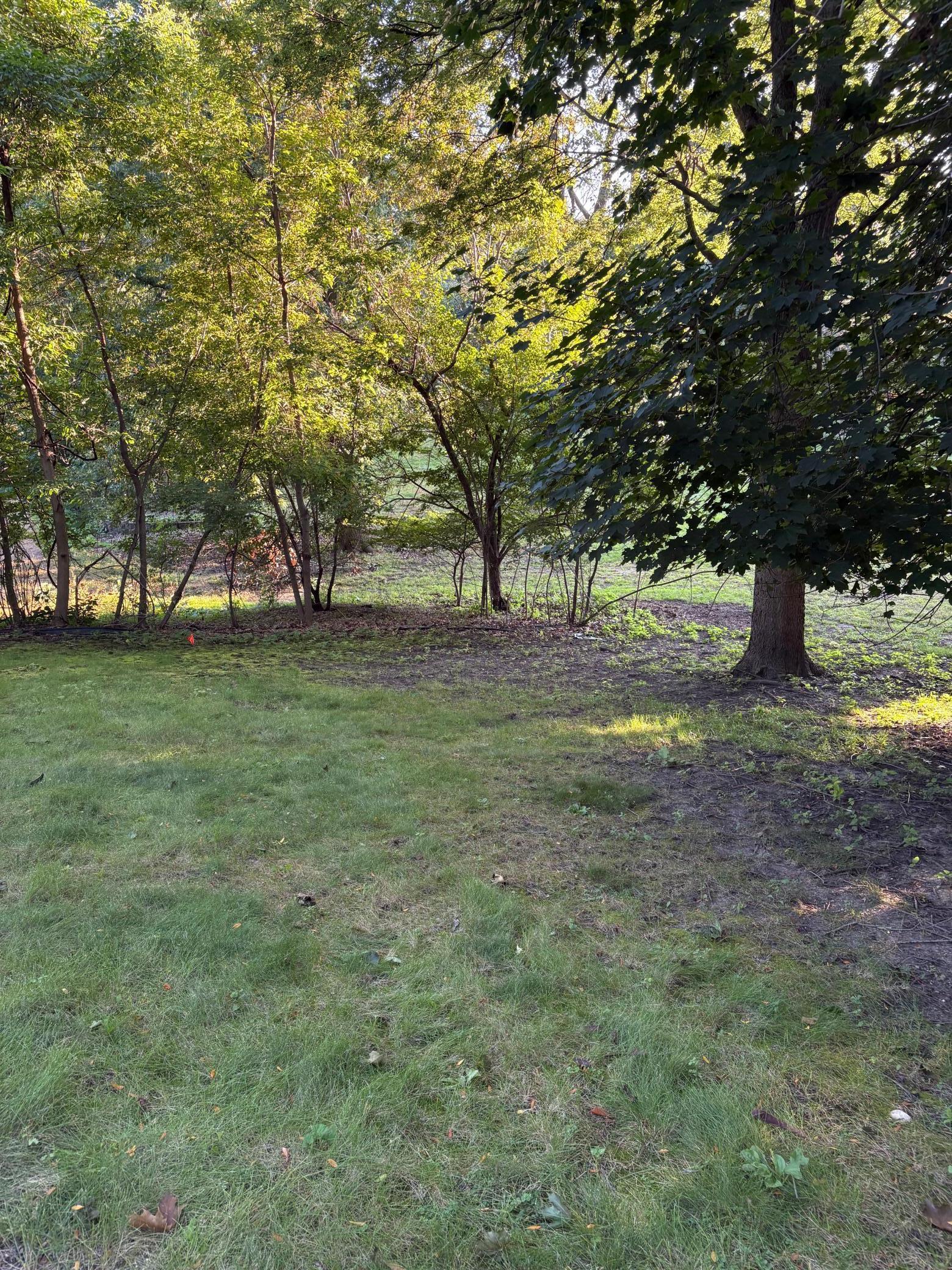 165-xx Hidden Valley Road Minnetonka, MN 55345 - Photo 5 of 11