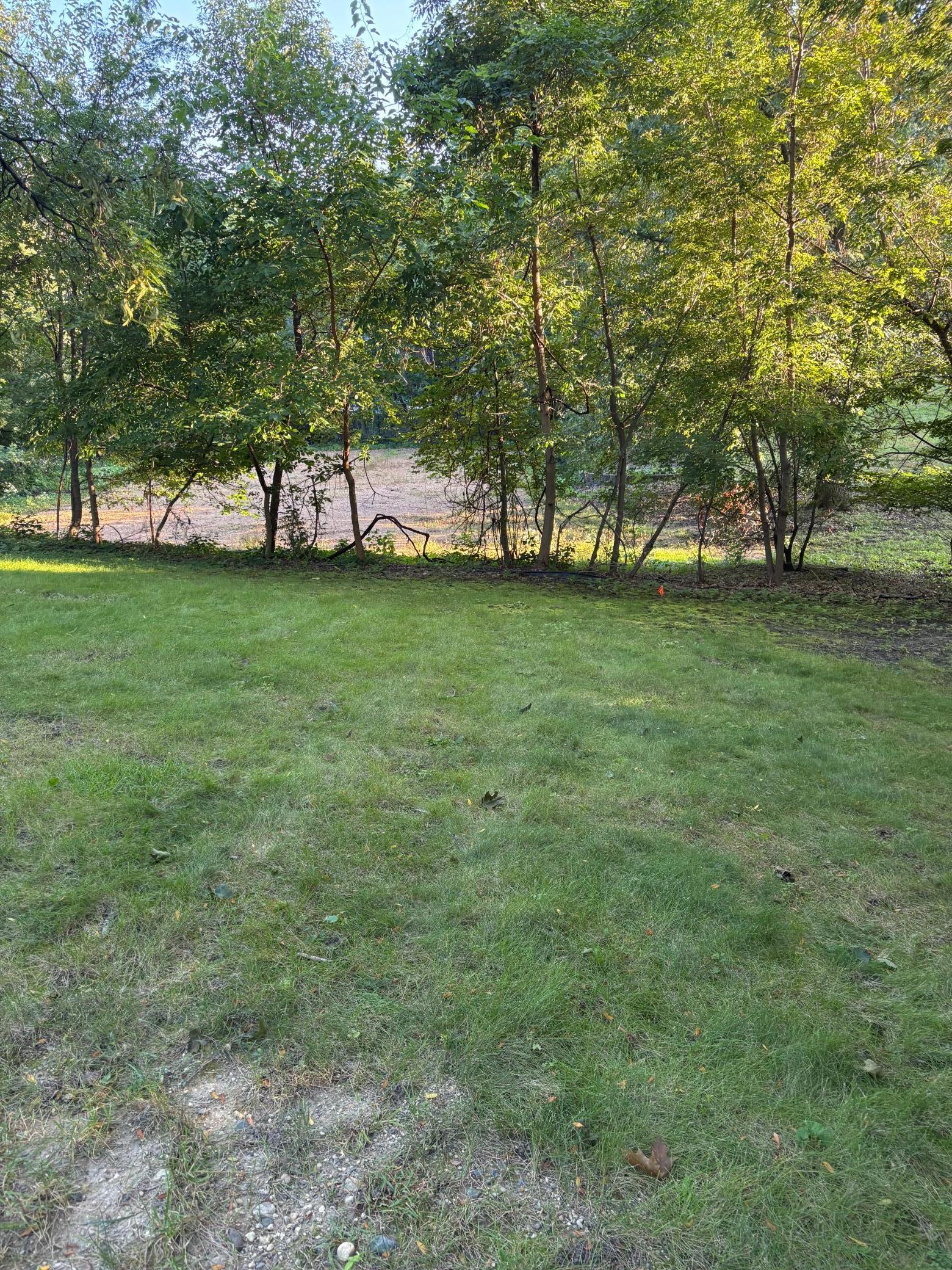 165-xx Hidden Valley Road Minnetonka, MN 55345 - Photo 6 of 11