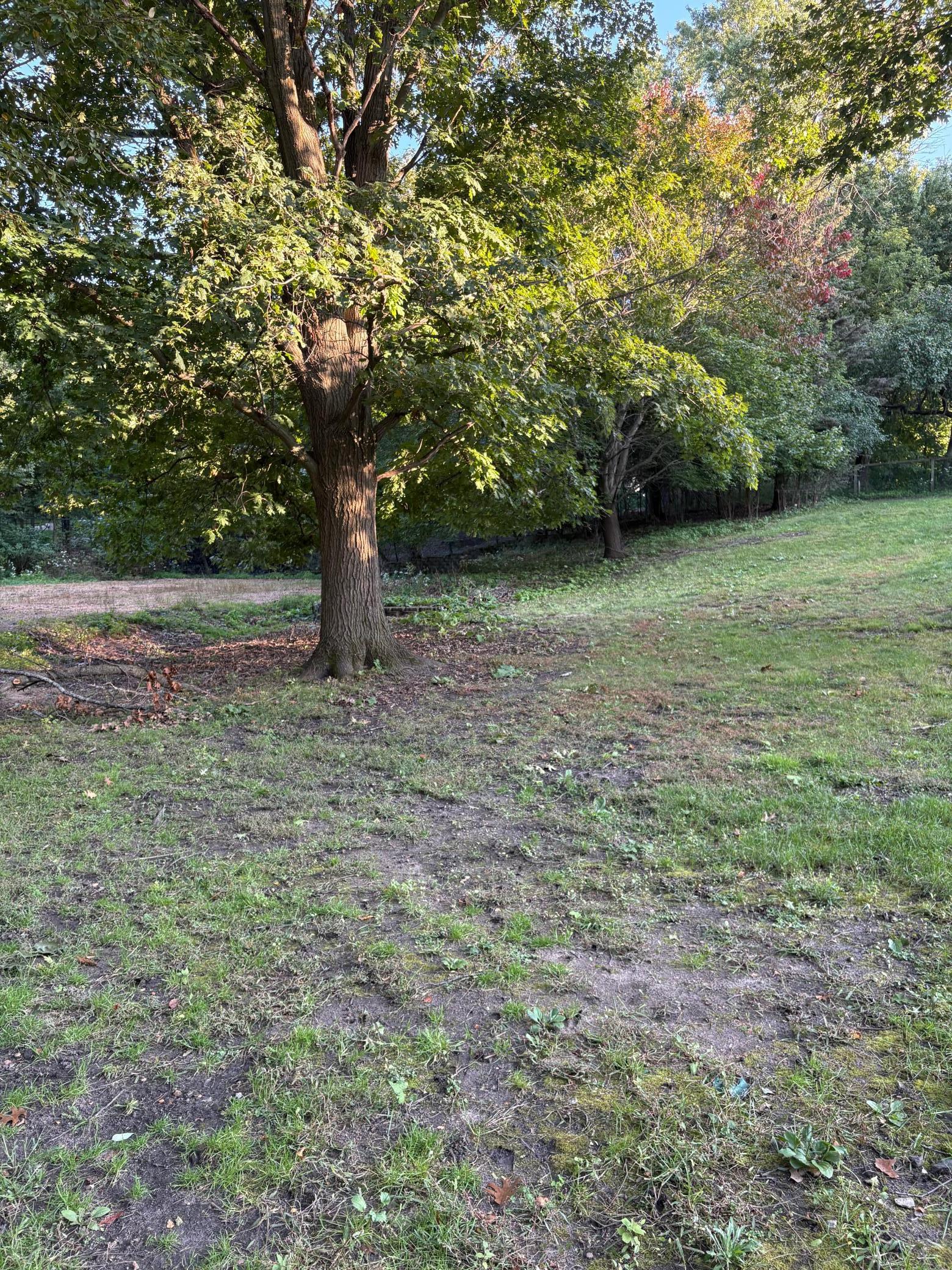 165-xx Hidden Valley Road Minnetonka, MN 55345 - Photo 7 of 11