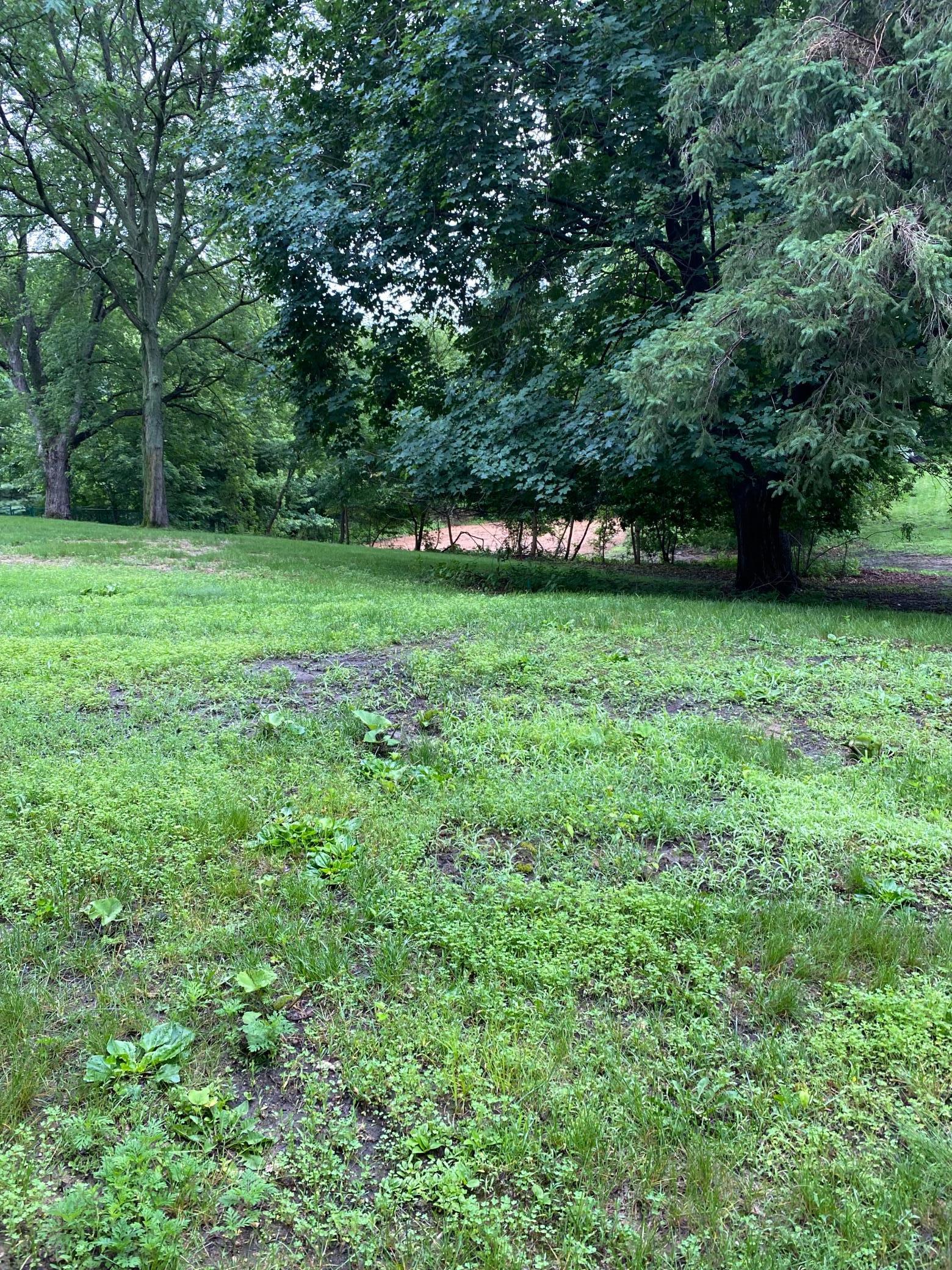 165-xx Hidden Valley Road Minnetonka, MN 55345 - Photo 8 of 11