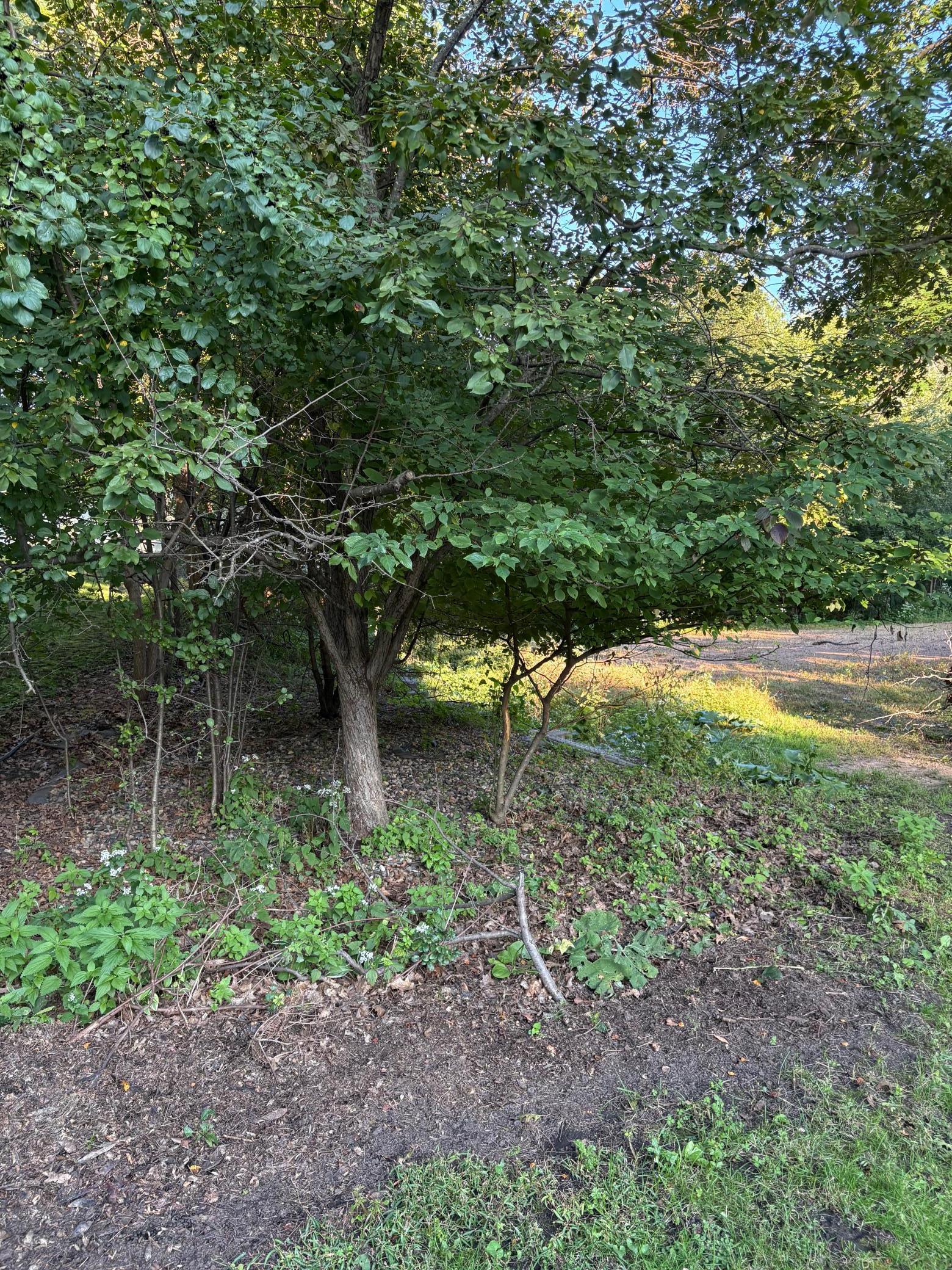 165-xx Hidden Valley Road Minnetonka, MN 55345 - Photo 10 of 11