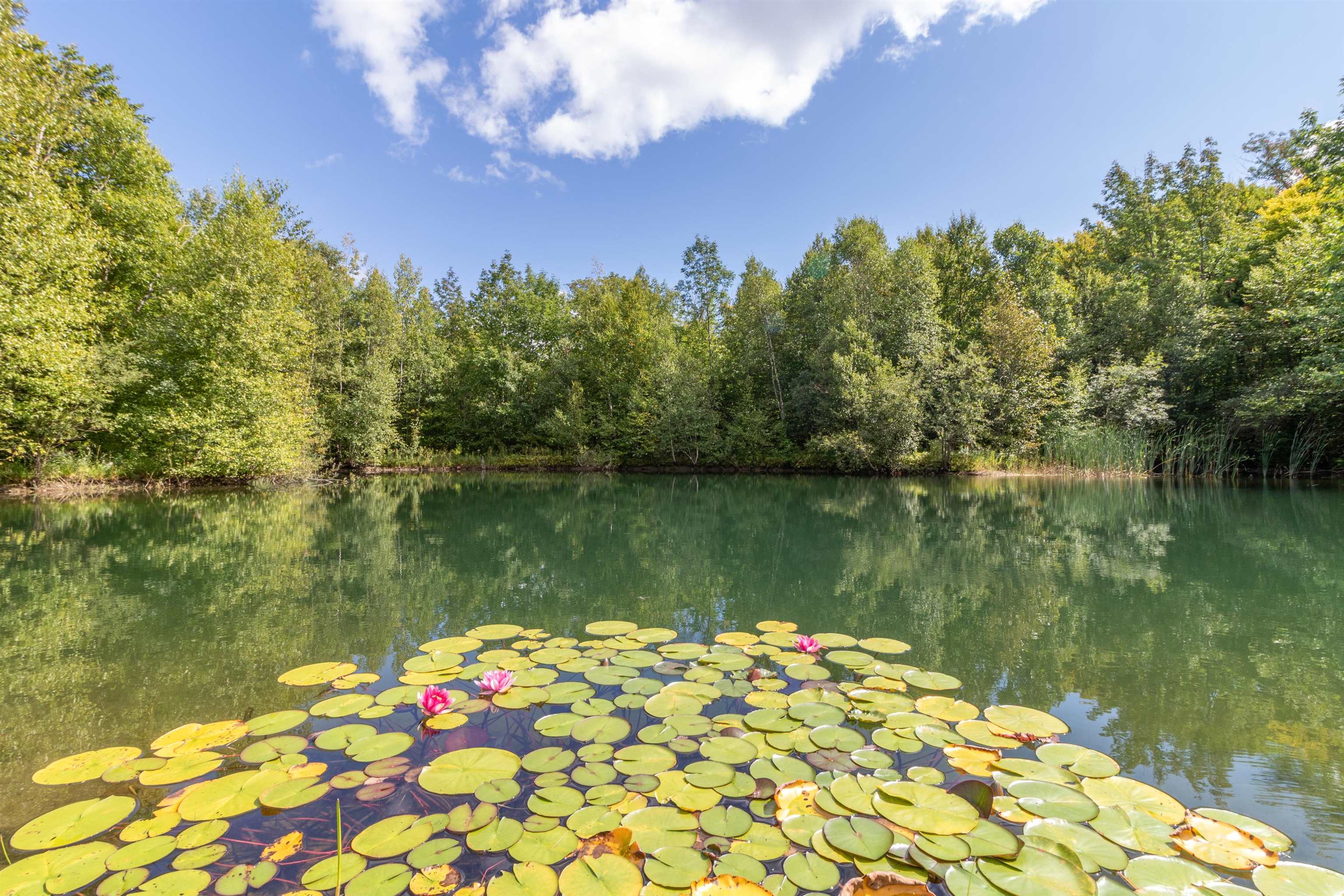 439 Stevens Mill Road Jay, VT 05859 - Photo 35 of 60