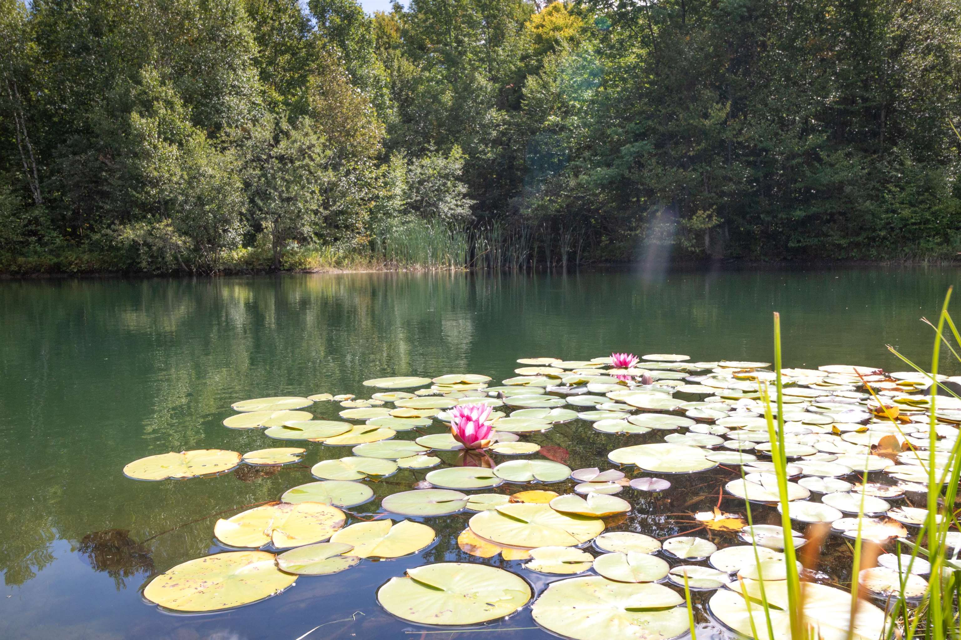439 Stevens Mill Road Jay, VT 05859 - Photo 46 of 60