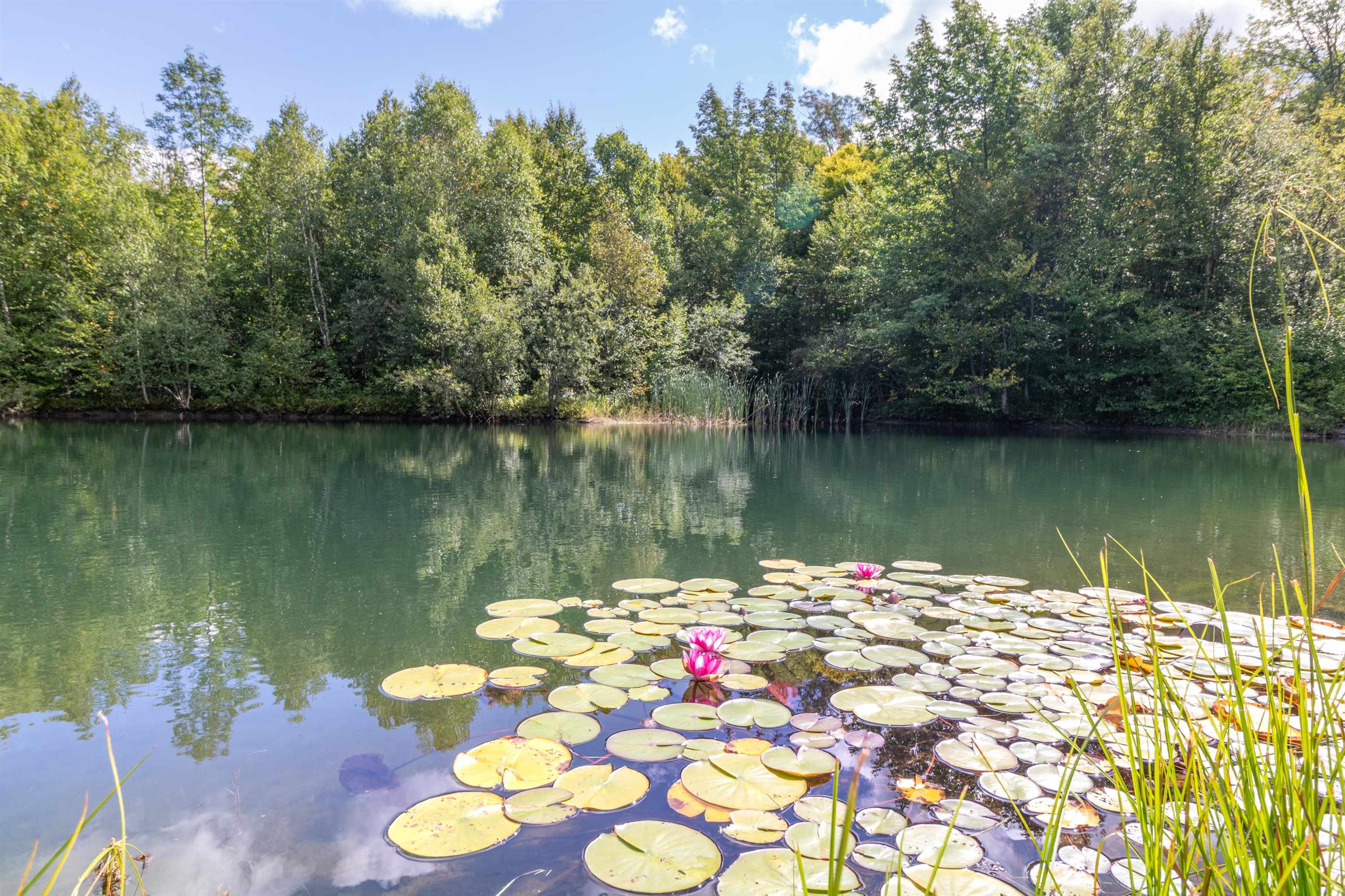 439 Stevens Mill Road Jay, VT 05859 - Photo 47 of 60