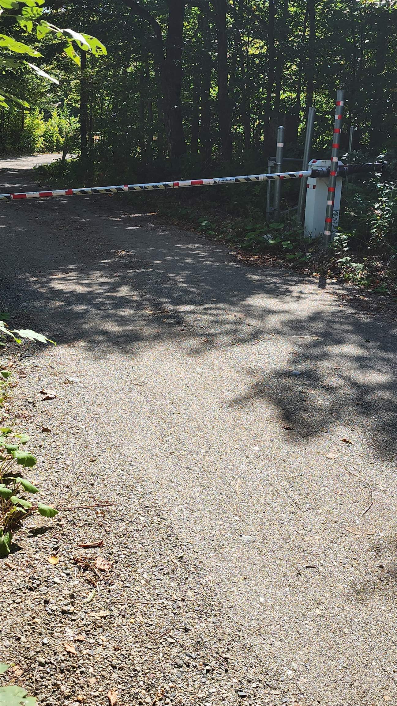 439 Stevens Mill Road Jay, VT 05859 - Photo 48 of 60