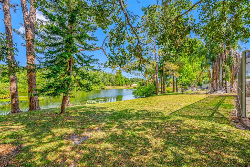 4448 Ranchwood Lane Tampa, FL 33624 - Photo 13 of 45