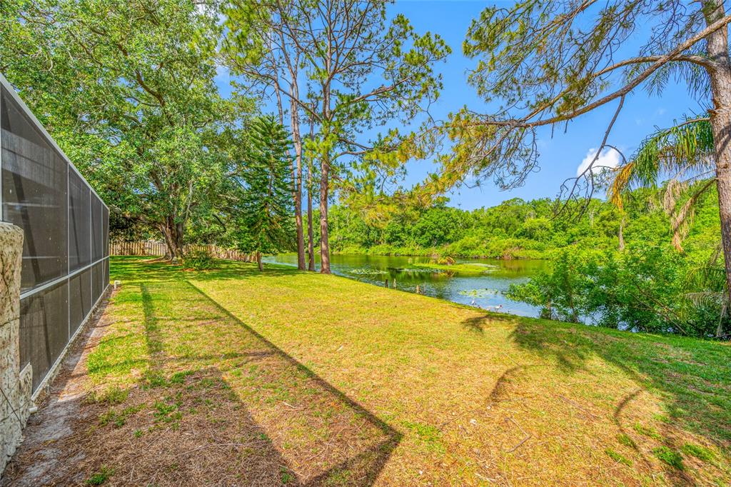 4448 Ranchwood Lane Tampa, FL 33624 - Photo 16 of 45