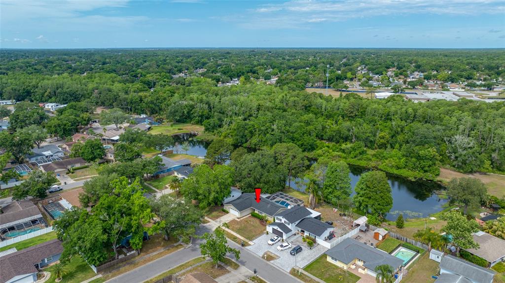4448 Ranchwood Lane Tampa, FL 33624 - Photo 3 of 45