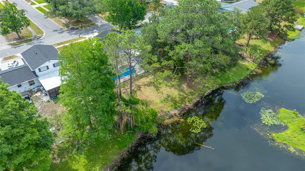 4448 Ranchwood Lane Tampa, FL 33624 - Photo 7 of 45