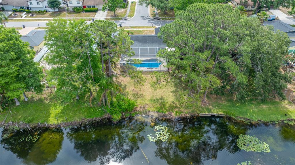 4448 Ranchwood Lane Tampa, FL 33624 - Photo 8 of 45