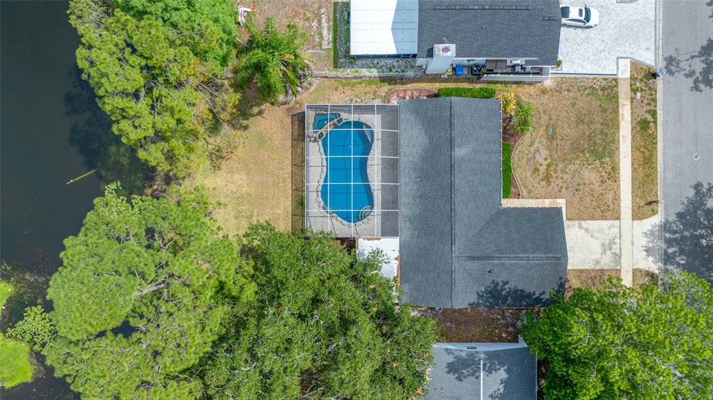 4448 Ranchwood Lane Tampa, FL 33624 - Photo 9 of 45