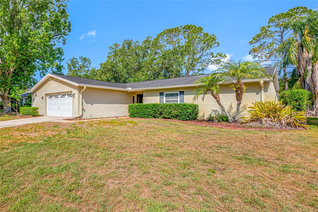 4448 Ranchwood Lane Tampa, FL 33624 - Photo 10 of 45