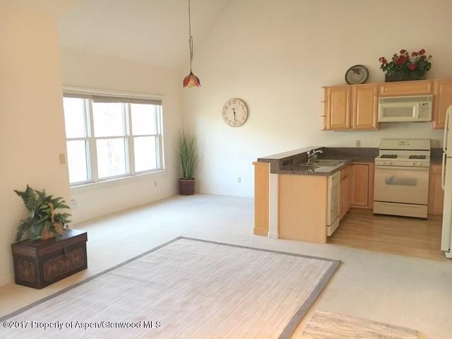 855 Gold Rivers Court, Unit 20D Basalt, CO 81621 - Photo 6 of 13 IMG_2617