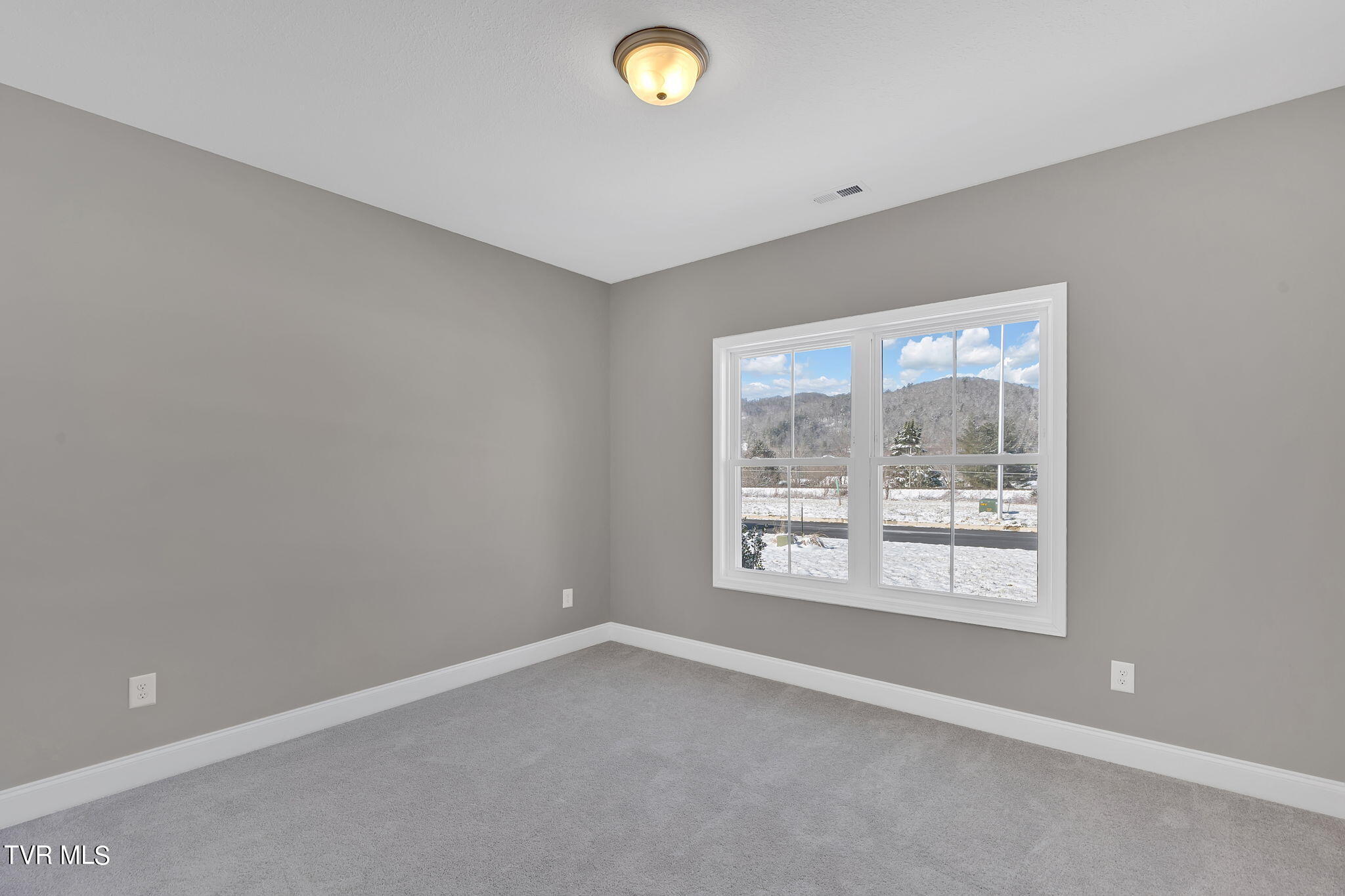 125 Ervin Loop Erwin, TN 37650 - Photo 24 of 44 24-web-or-mls-217A1915