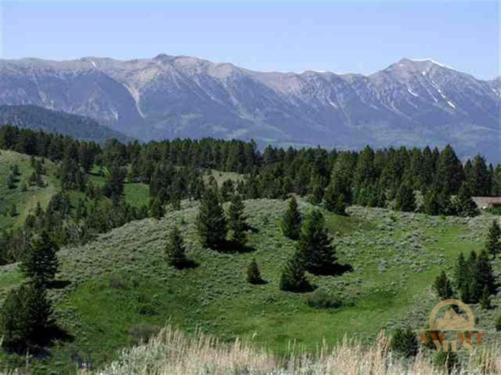Tbd Woodchuck Road Livingston, MT 59047 - Photo 1 of 1 Gallery Image 1