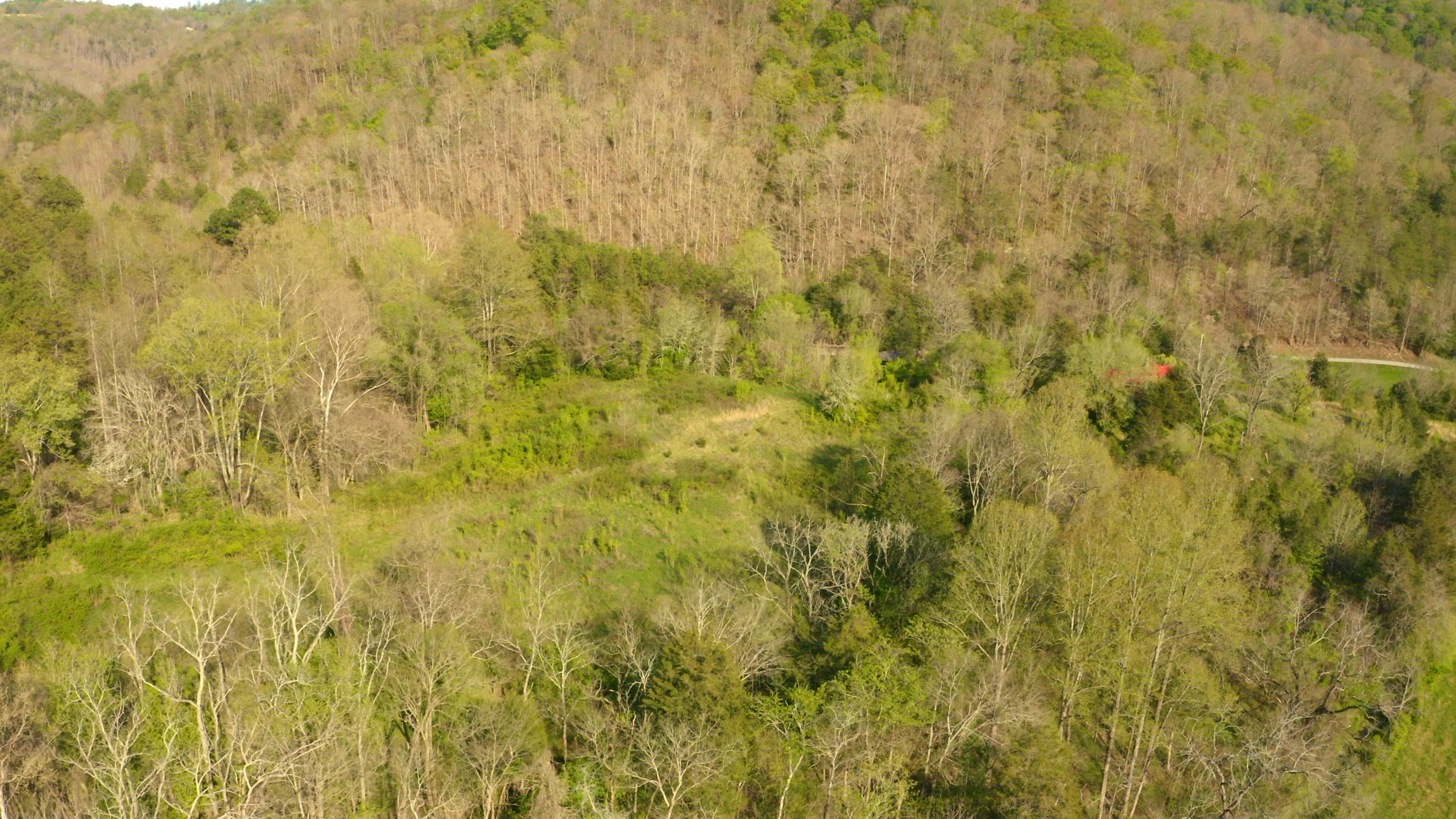 157.23 Yellow Branch Road Sneedville, TN 37869 - Photo 20 of 28 Drone Photo