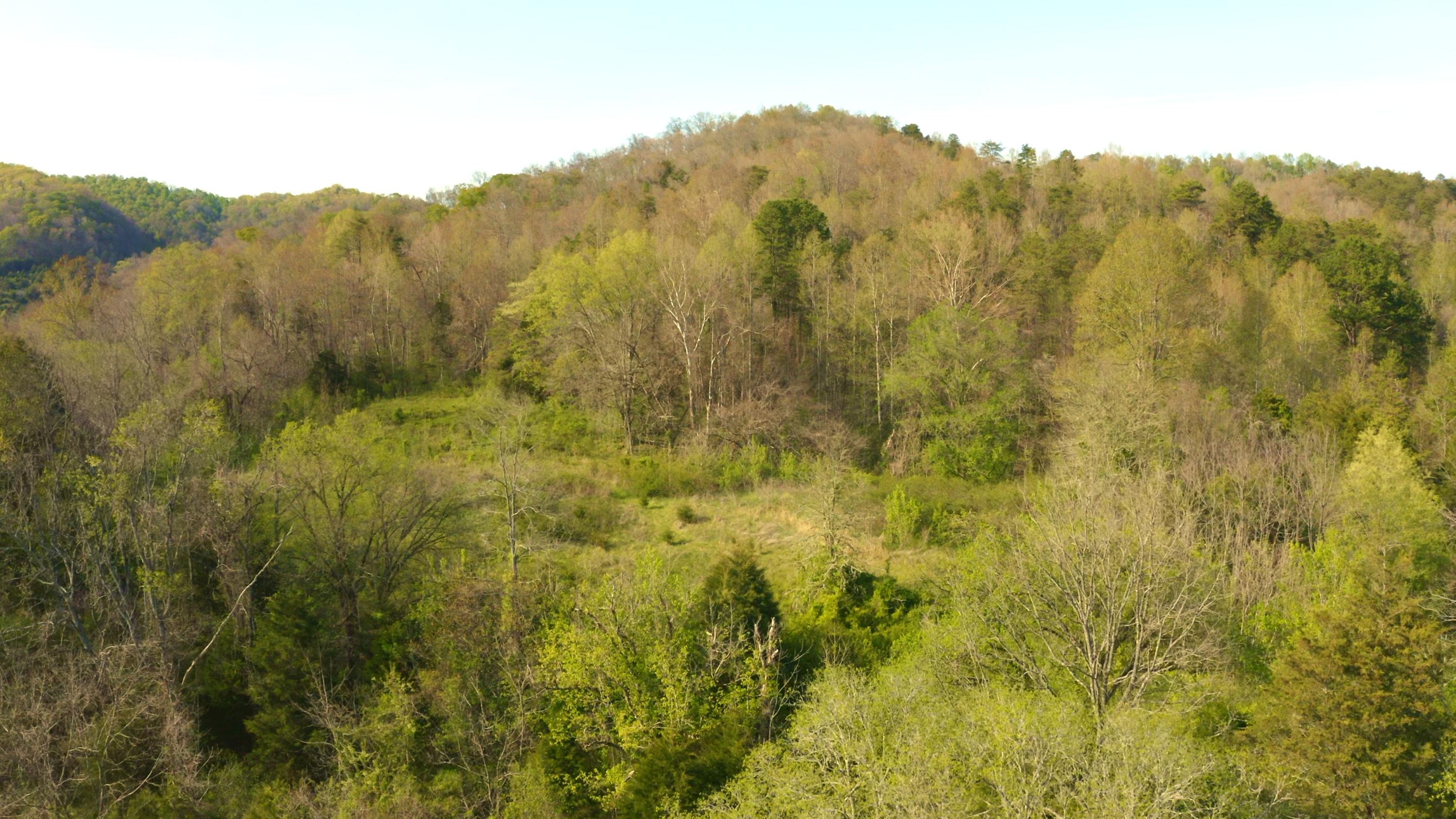 157.23 Yellow Branch Road Sneedville, TN 37869 - Photo 22 of 28 Drone Photo