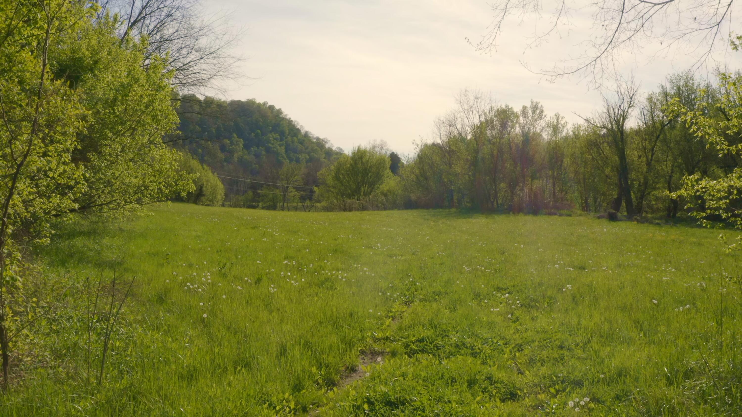 157.23 Yellow Branch Road Sneedville, TN 37869 - Photo 23 of 28 Photo 22
