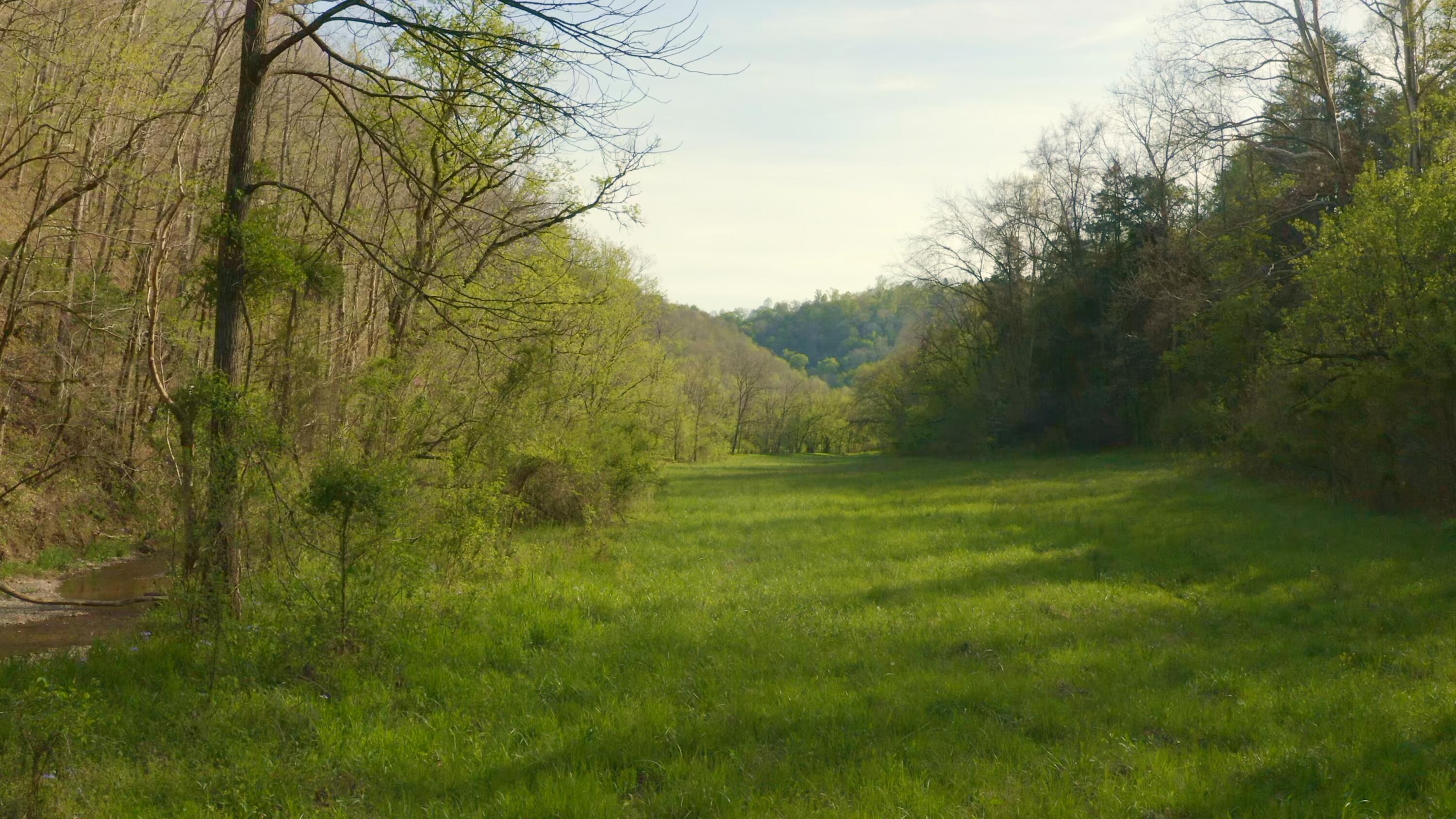 157.23 Yellow Branch Road Sneedville, TN 37869 - Photo 24 of 28 Photo 23