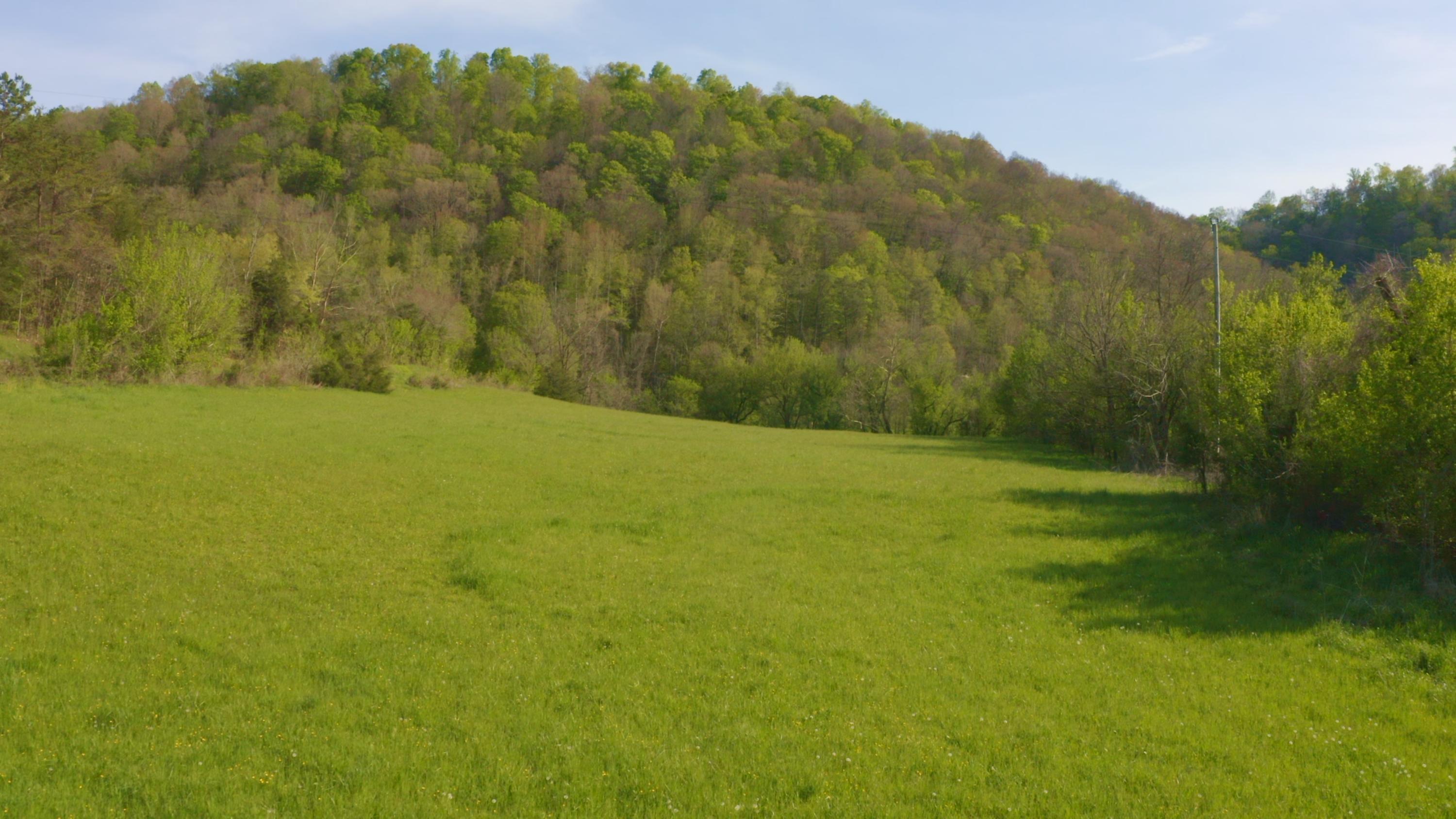 157.23 Yellow Branch Road Sneedville, TN 37869 - Photo 25 of 28 Photo 24