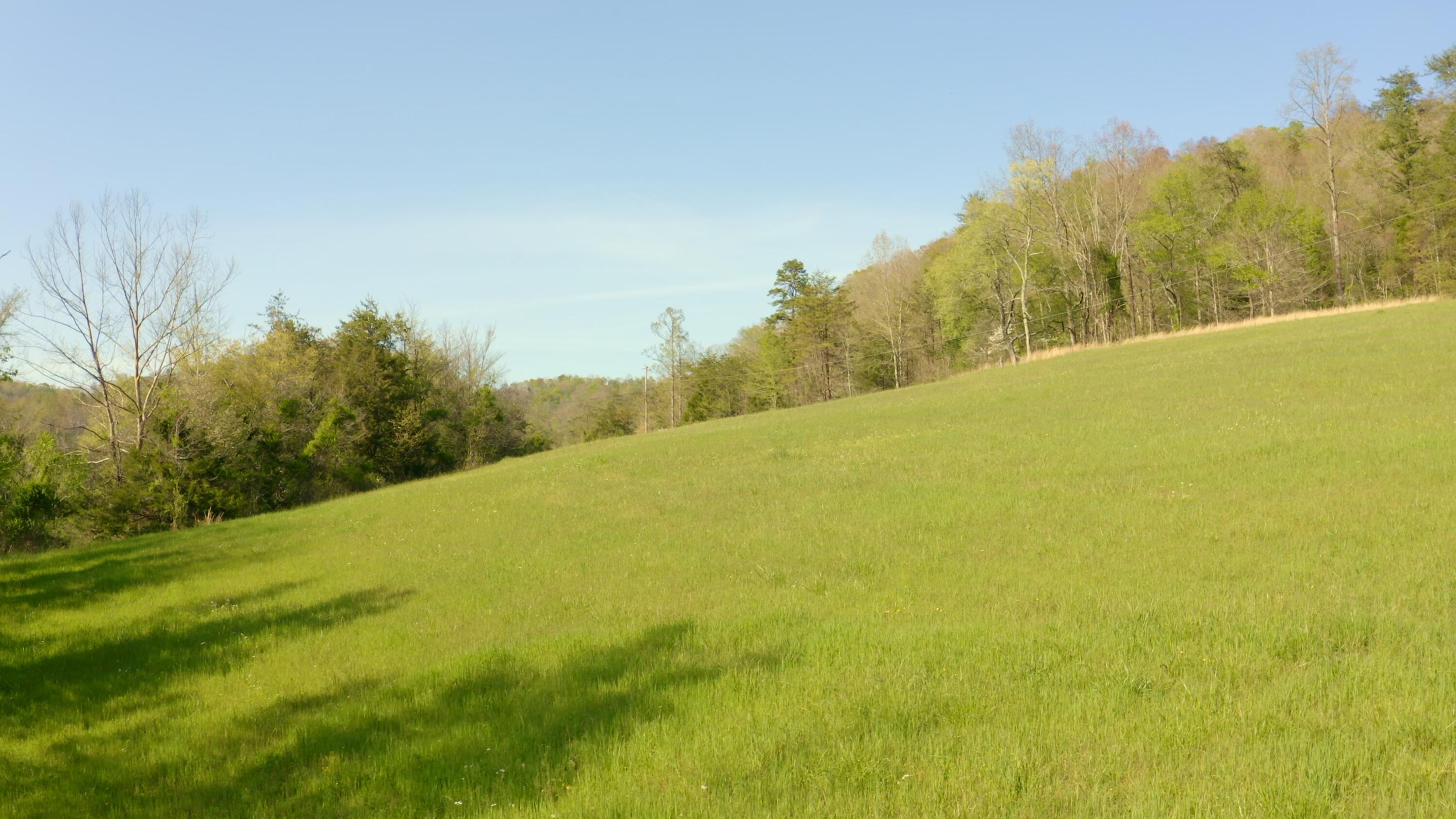157.23 Yellow Branch Road Sneedville, TN 37869 - Photo 4 of 28 Drone Photo