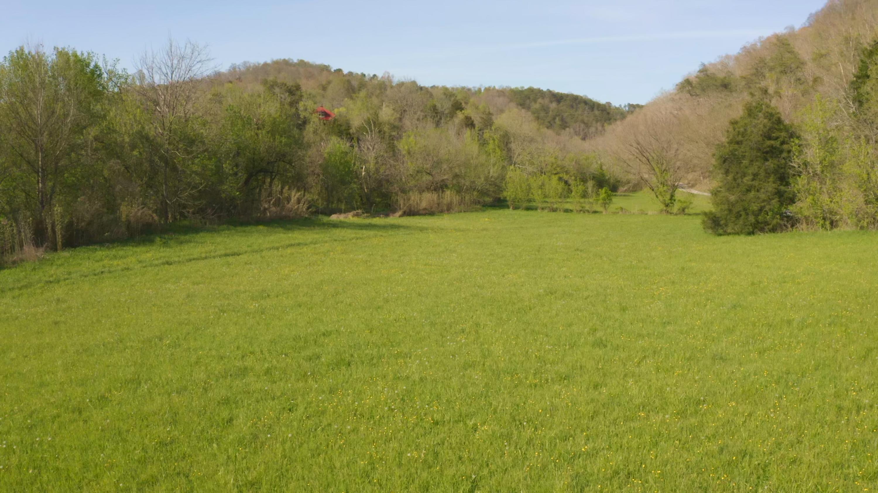 157.23 Yellow Branch Road Sneedville, TN 37869 - Photo 5 of 28 Drone Photo