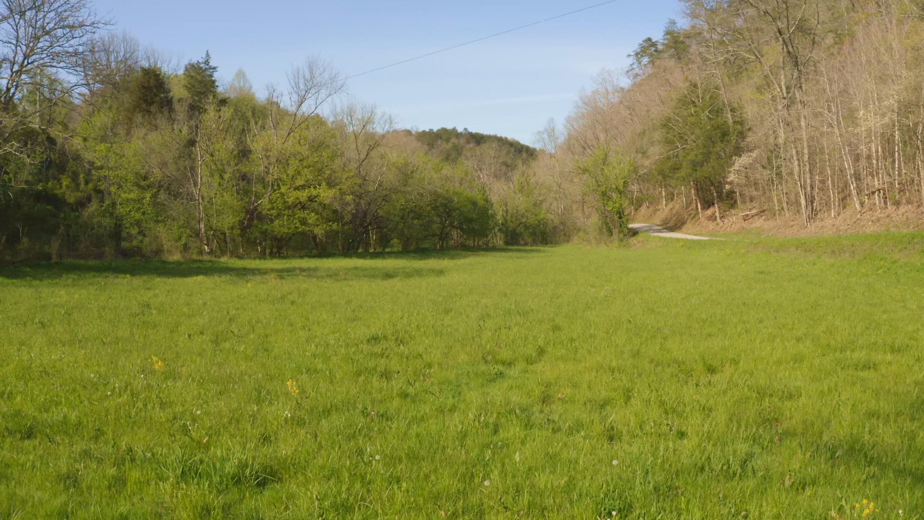 157.23 Yellow Branch Road Sneedville, TN 37869 - Photo 7 of 28 Photo 6
