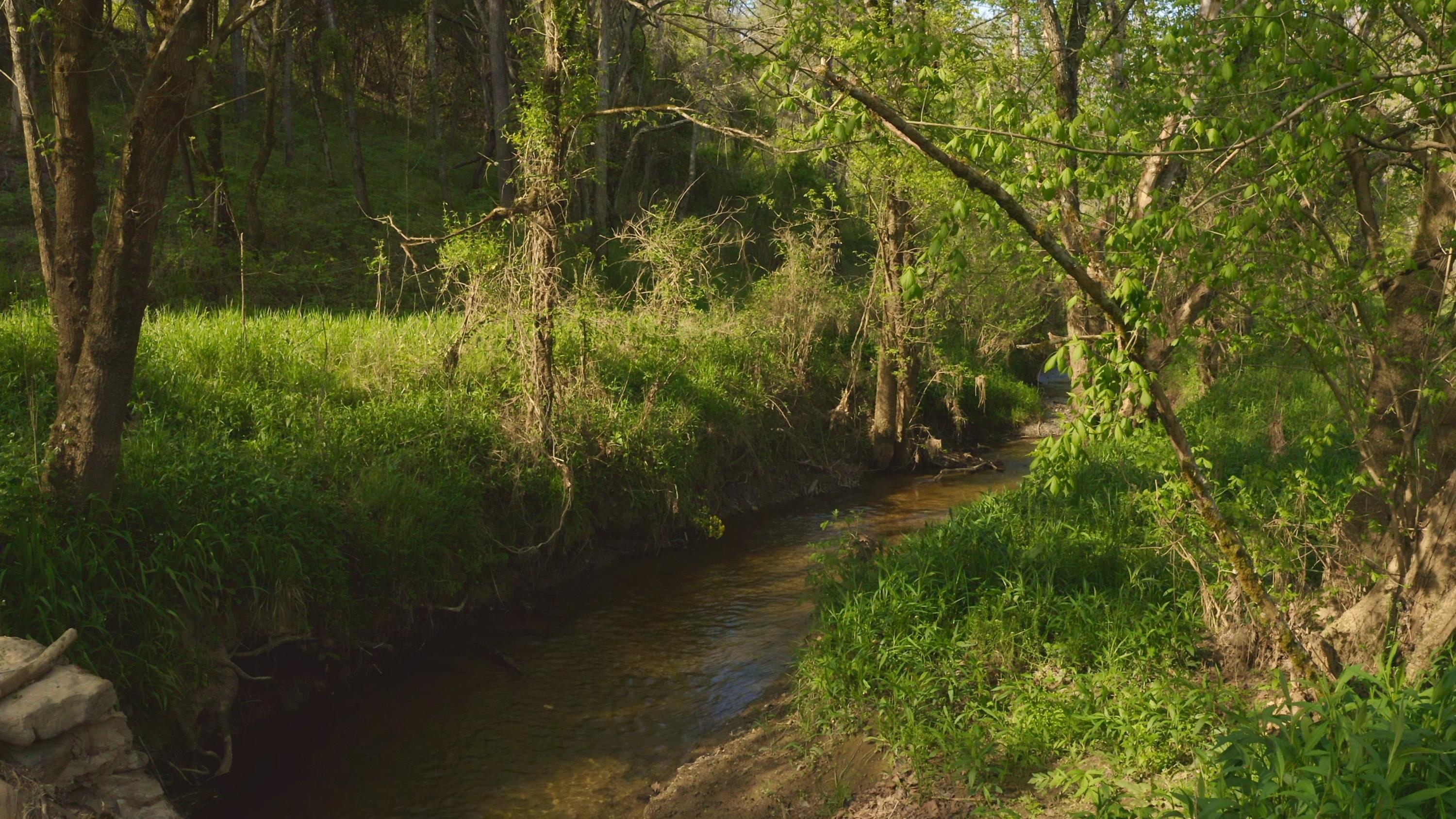 157.23 Yellow Branch Road Sneedville, TN 37869 - Photo 10 of 28 Photo 9