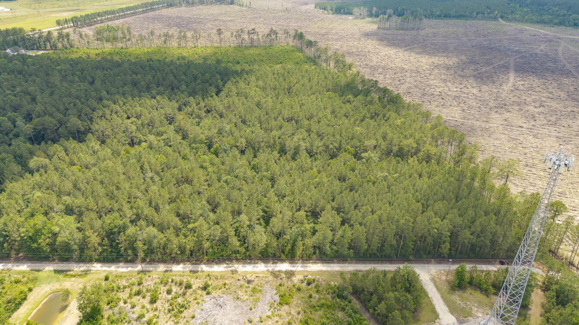 6222 Saints Delight Road, Unit LOT 8 Georgetown, SC 29440 - Photo 3 of 26