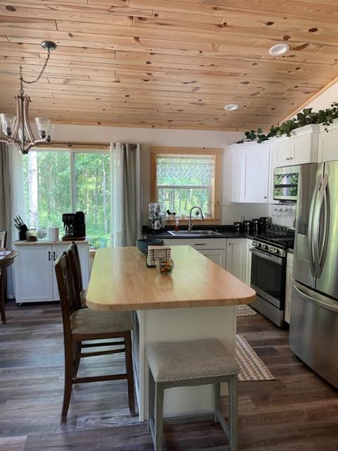 7140 South James Road Baldwin, MI 49304 - Photo 12 of 21 IMG_2233