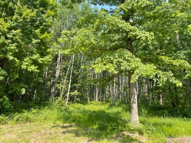 7140 South James Road Baldwin, MI 49304 - Photo 4 of 21 IMG_2217