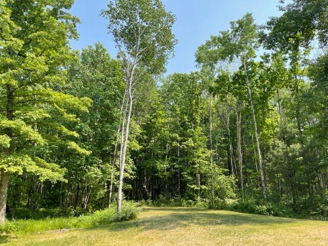 7140 South James Road Baldwin, MI 49304 - Photo 7 of 21 IMG_2216