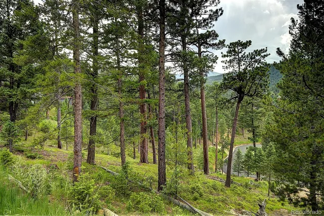 $280,000 | 6875 Lynx Lair Road, Evergreen, CO 80439