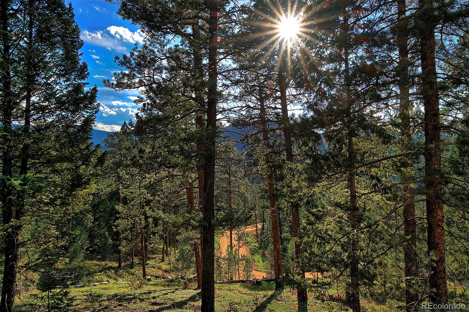 6875 Lynx Lair Road Evergreen, CO 80439 - Photo 11 of 17 a view of a yard from a corridor