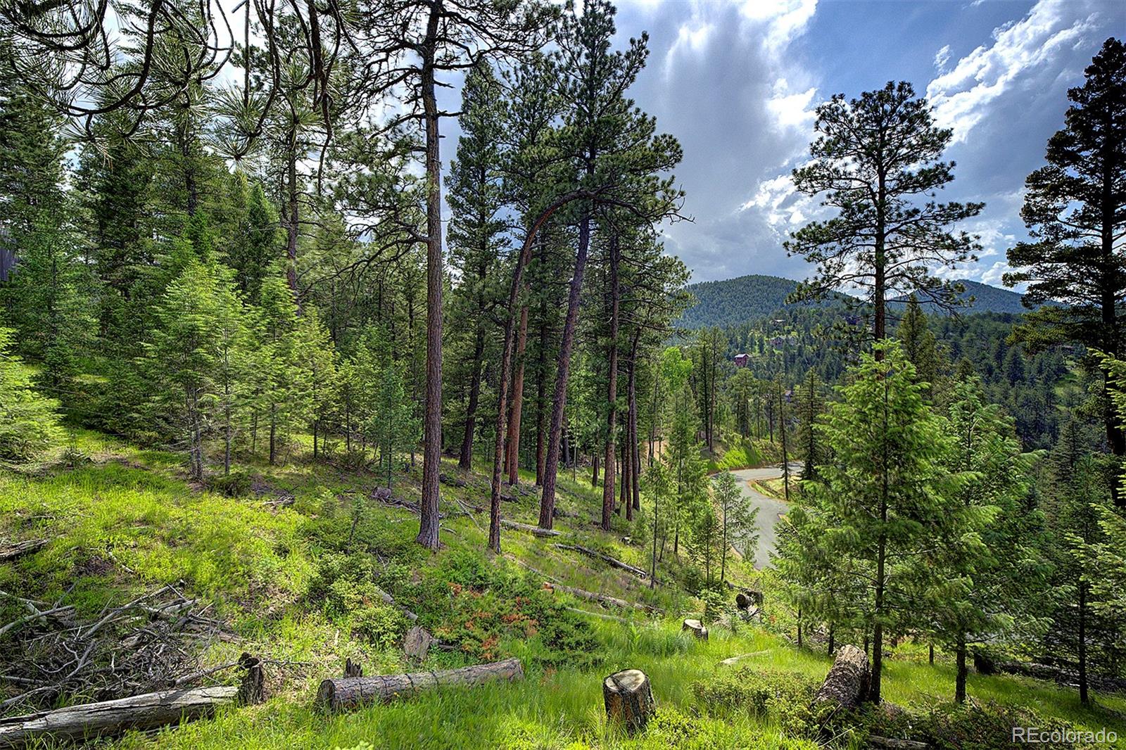 6875 Lynx Lair Road Evergreen, CO 80439 - Photo 12 of 17 a view of a garden