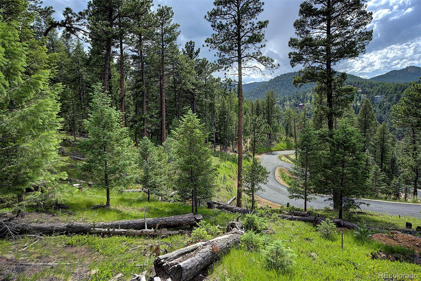 6875 Lynx Lair Road Evergreen, CO 80439 - Photo 13 of 17 a view of a garden