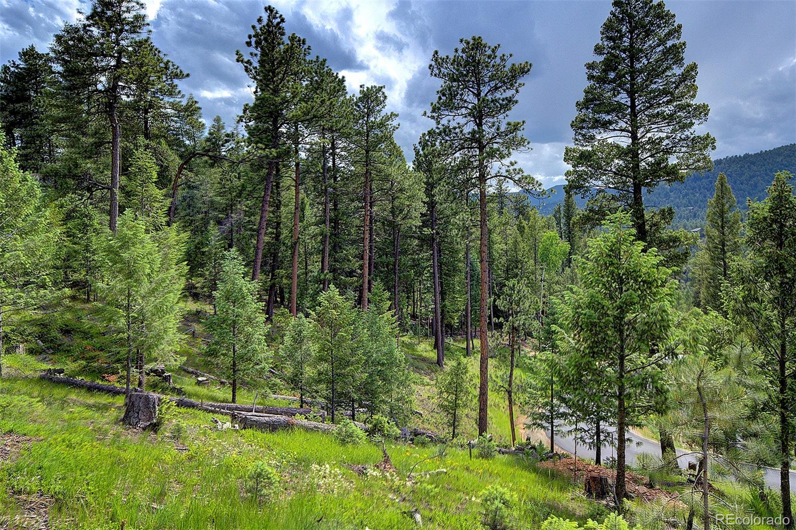 6875 Lynx Lair Road Evergreen, CO 80439 - Photo 14 of 17 an aerial view of residential house with outdoor space and trees all around