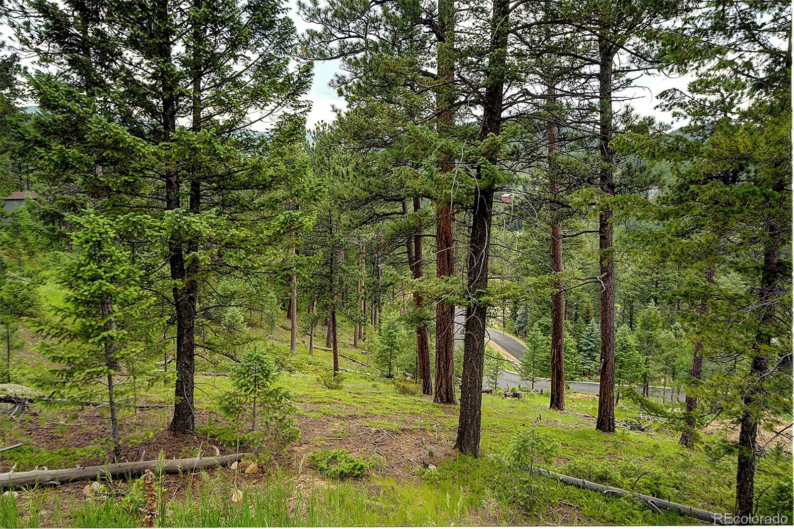 6875 Lynx Lair Road Evergreen, CO 80439 - Photo 2 of 17 a view of yard