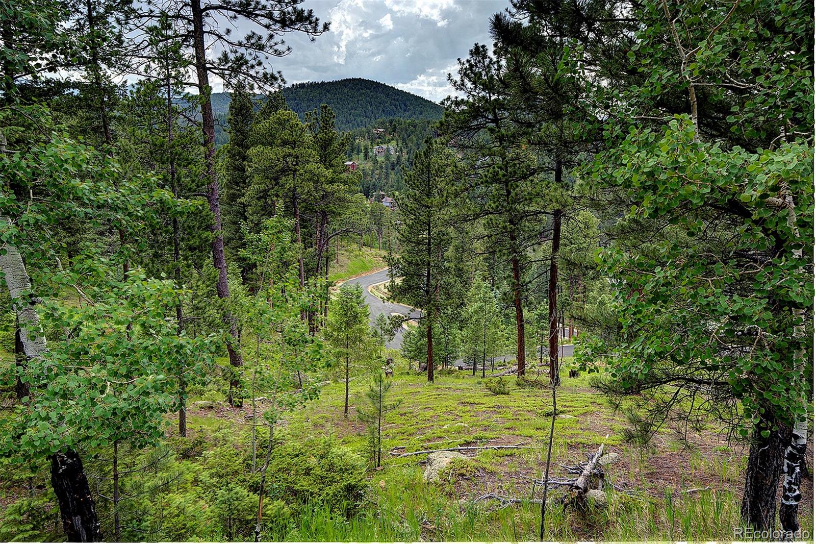 6875 Lynx Lair Road Evergreen, CO 80439 - Photo 3 of 17 a view of outdoor space and trees