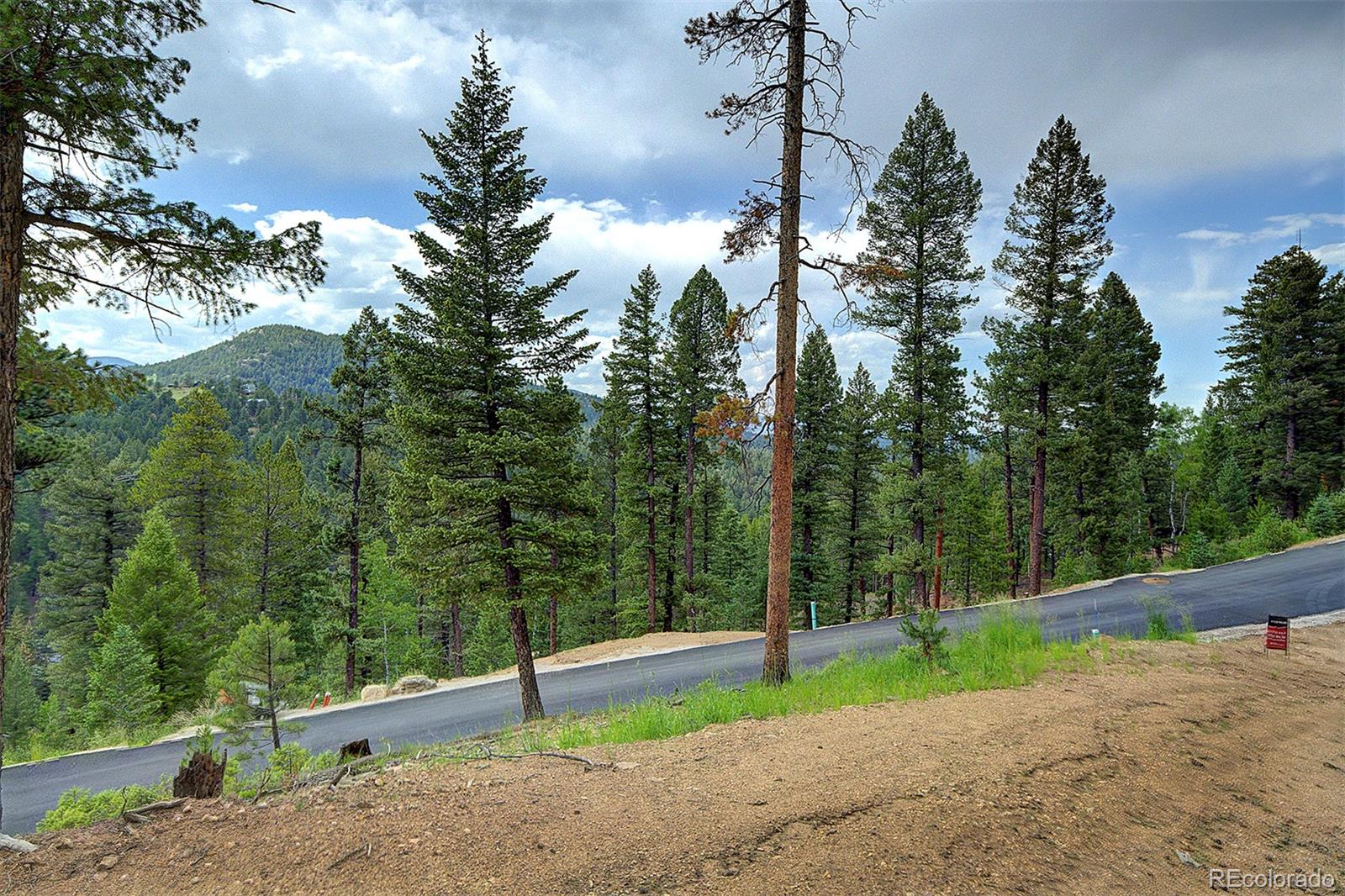 6875 Lynx Lair Road Evergreen, CO 80439 - Photo 5 of 17 a view of a park with large trees