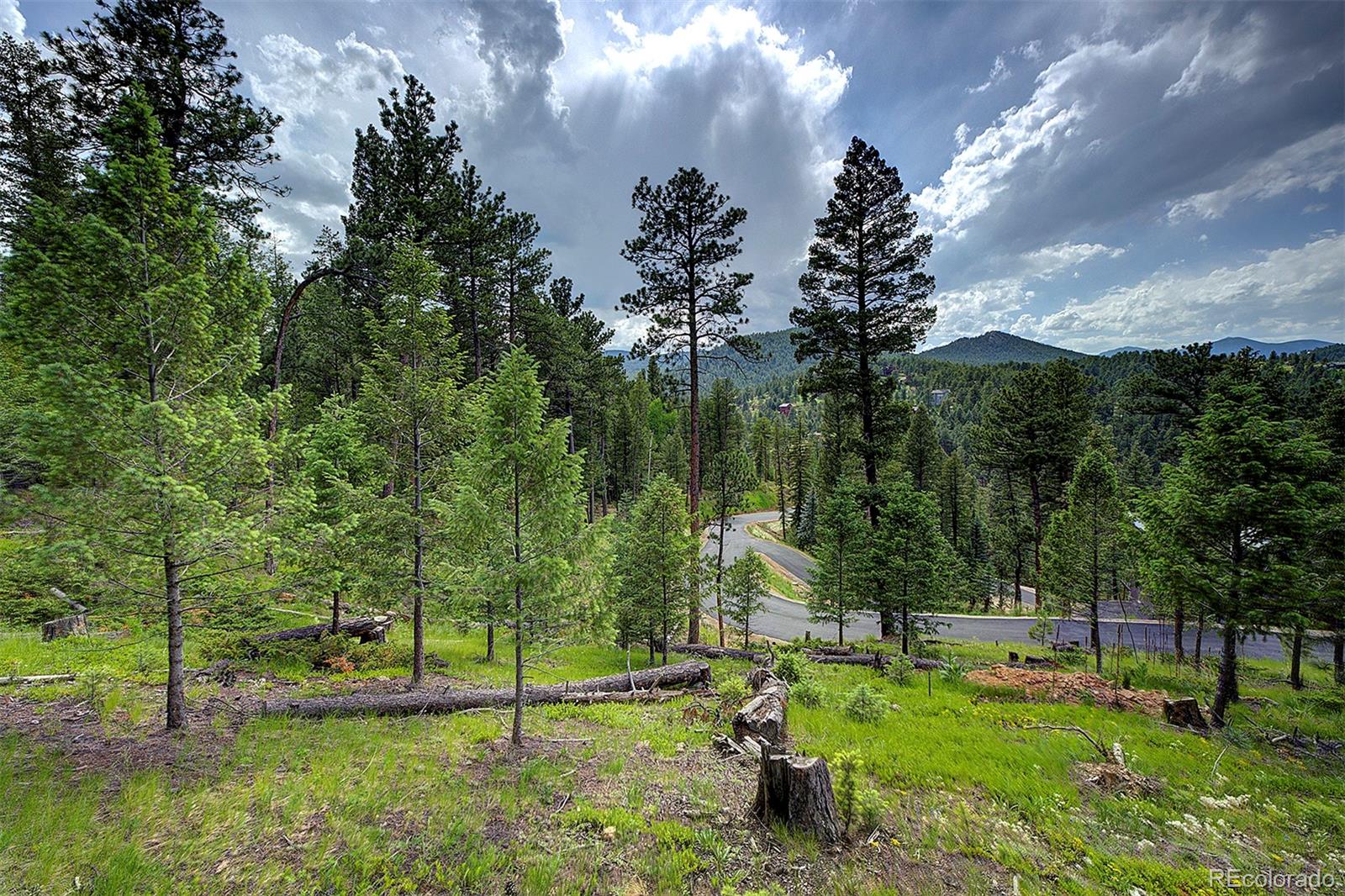 6875 Lynx Lair Road Evergreen, CO 80439 - Photo 9 of 17 a view of a park