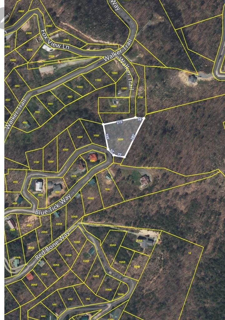 36 Blue Tick Way Sevierville, TN 37876 - Photo 15 of 25