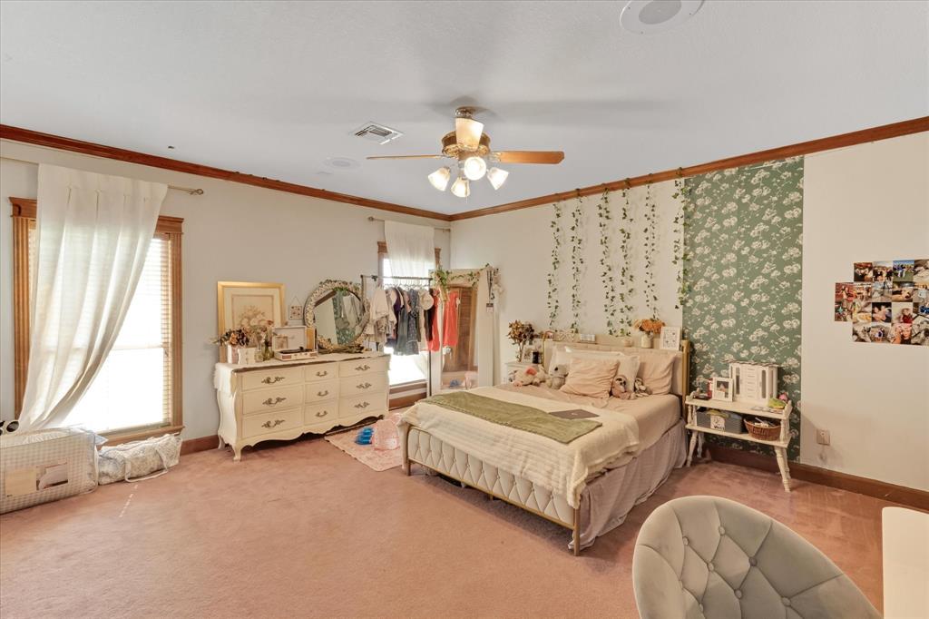 2717 Clear Lake Road Weatherford, TX 76087 - Photo 20 of 40 Spacious bedroom featuring plush carpeting, dual windows with blinds, a ceiling fan with integrated lighting, and crown molding with wood trim