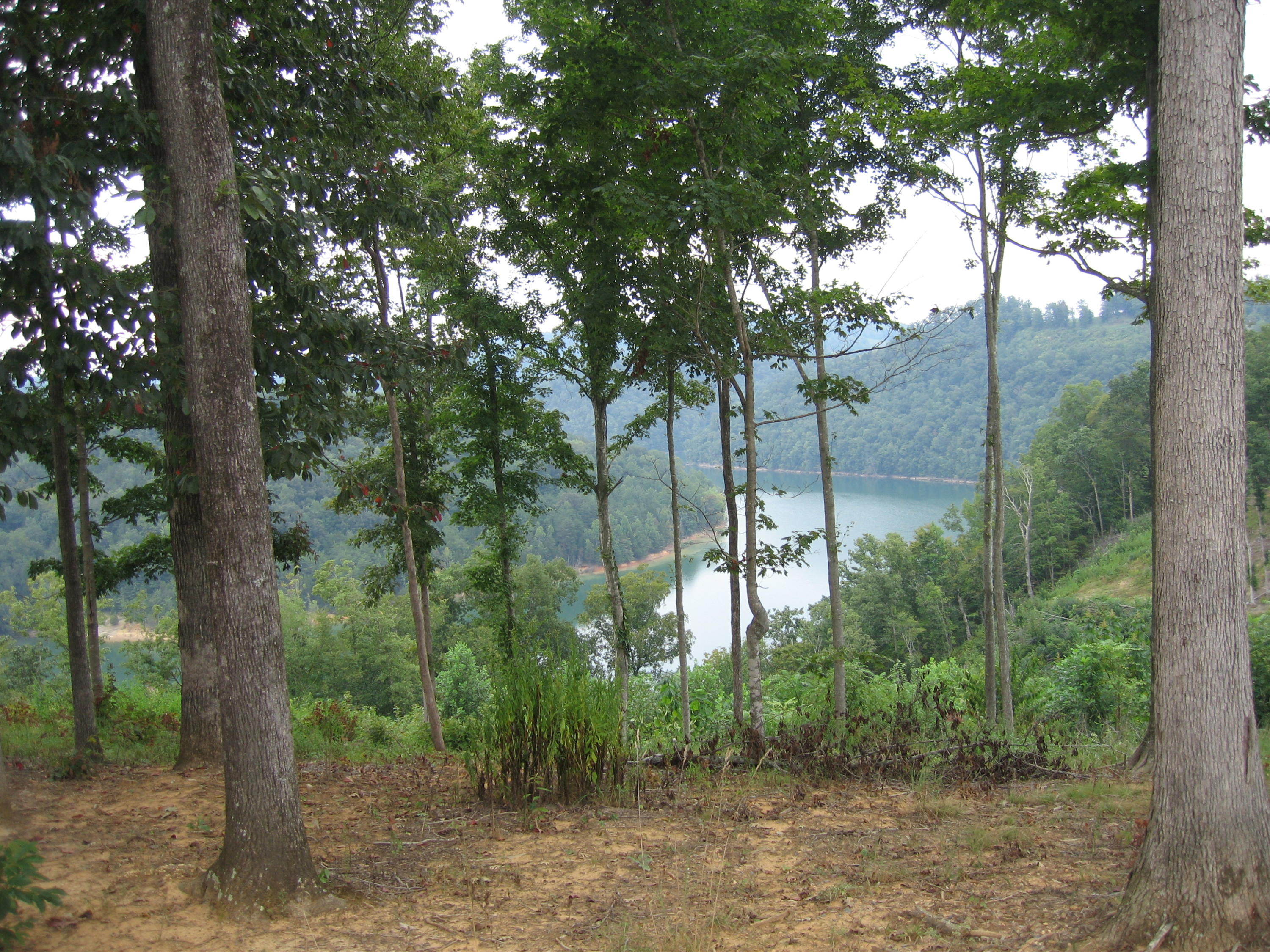 Anne Road, Unit 201 Monterey, TN 38574 - Photo 1 of 4 002