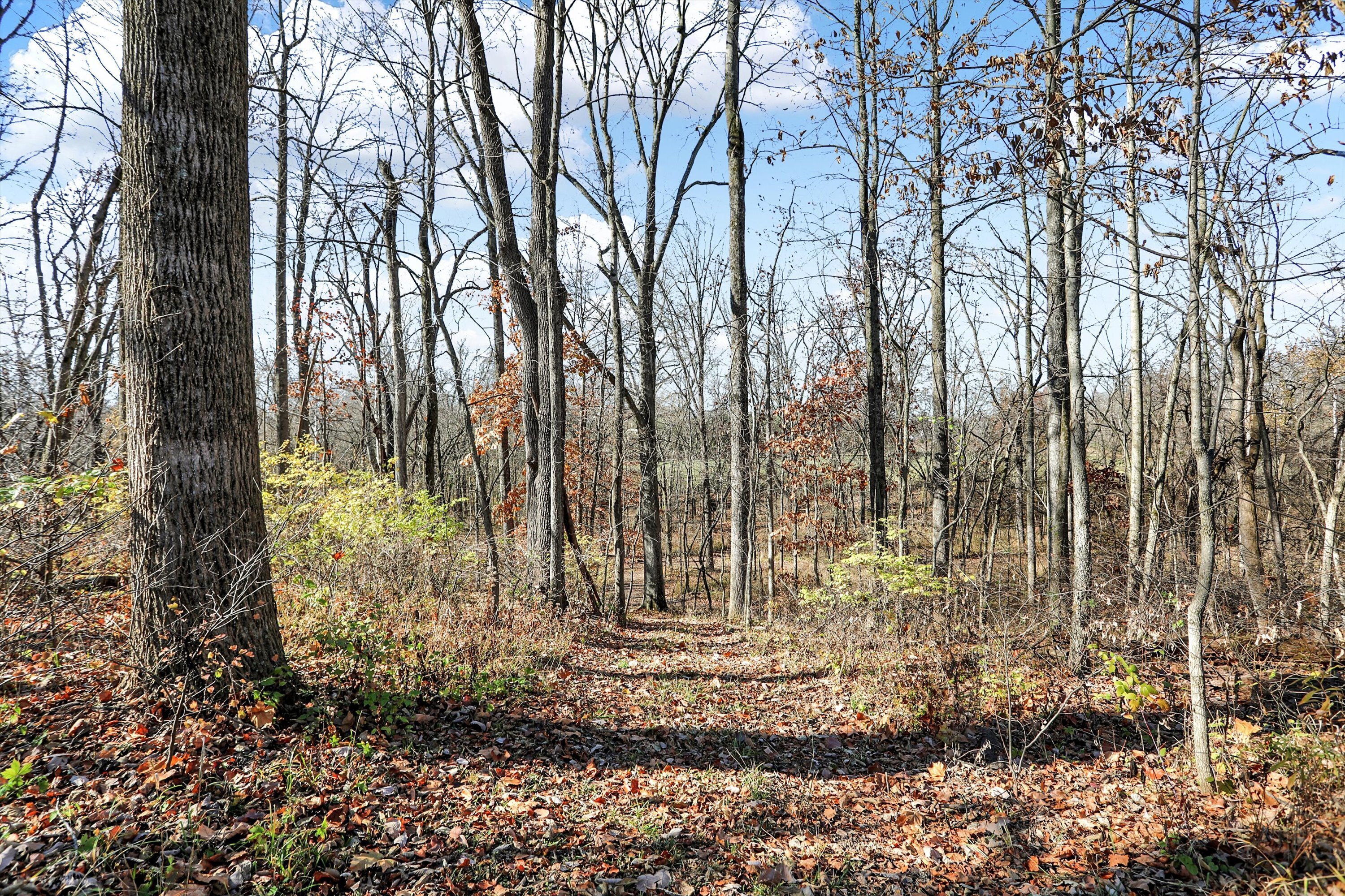 22100 Cammack Road Noblesville, IN 46062 - Photo 70 of 88 Gallery Image 70