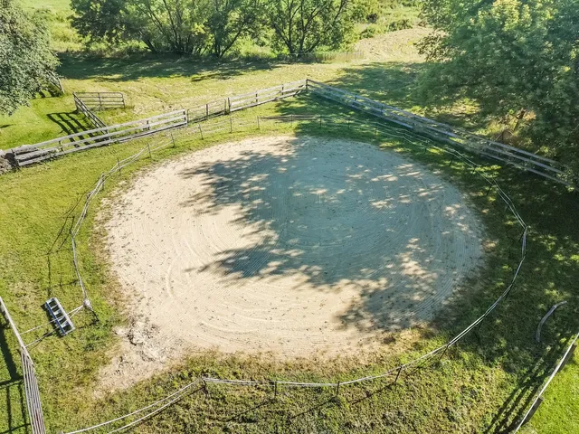 a view of a backyard with a garden and plants