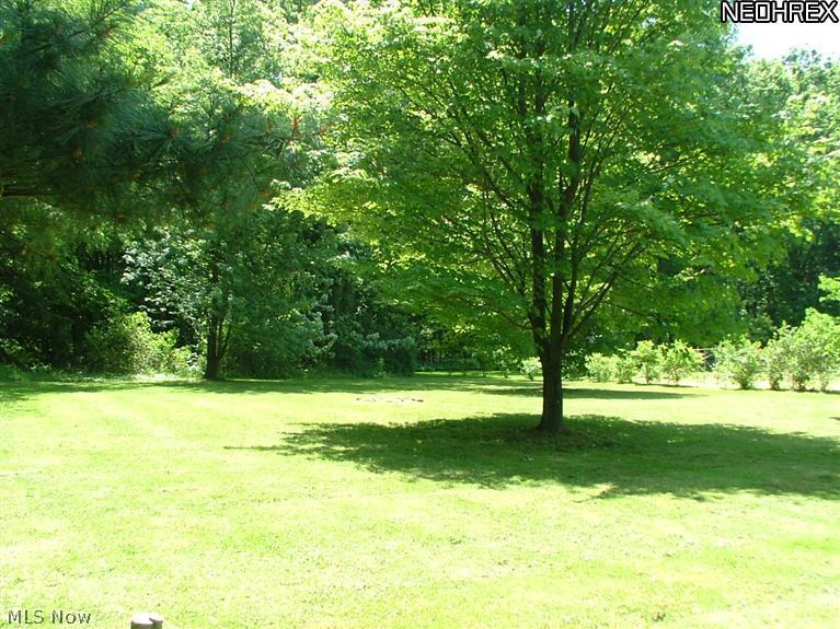 3194 Shellhart Road Norton, OH 44203 - Photo 3 of 18 From the deck you can view the spacious yard with trees beyond, Sometimes the deer will come to say hello.